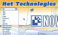 Novosoft poster